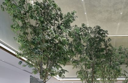 Xitou Greentown | WJ STUDIO