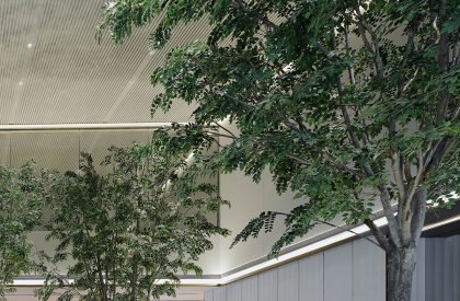 Xitou Greentown | WJ STUDIO