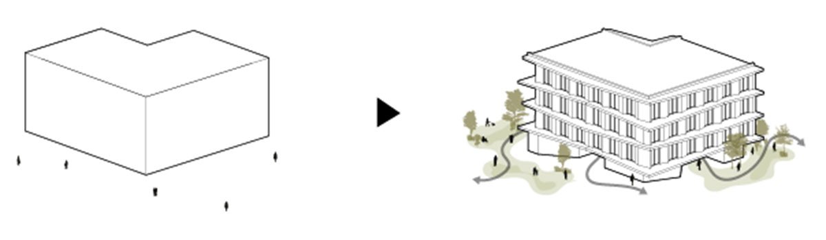 PLOT D – Domingo | MASSLAB