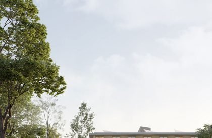 PLOT D – Domingo | MASSLAB