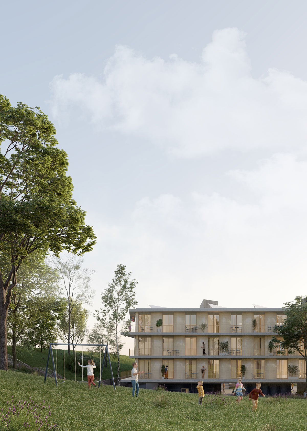 PLOT D – Domingo | MASSLAB