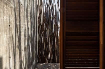 La Casa del sapo | Espacio 18 Arquitectura