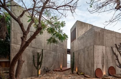 La Casa del sapo | Espacio 18 Arquitectura