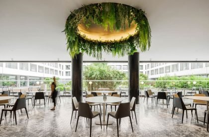Koi Restaurant | Box arquitectos