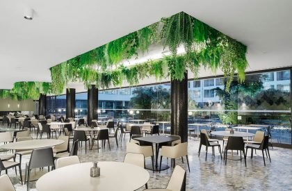 Koi Restaurant | Box arquitectos