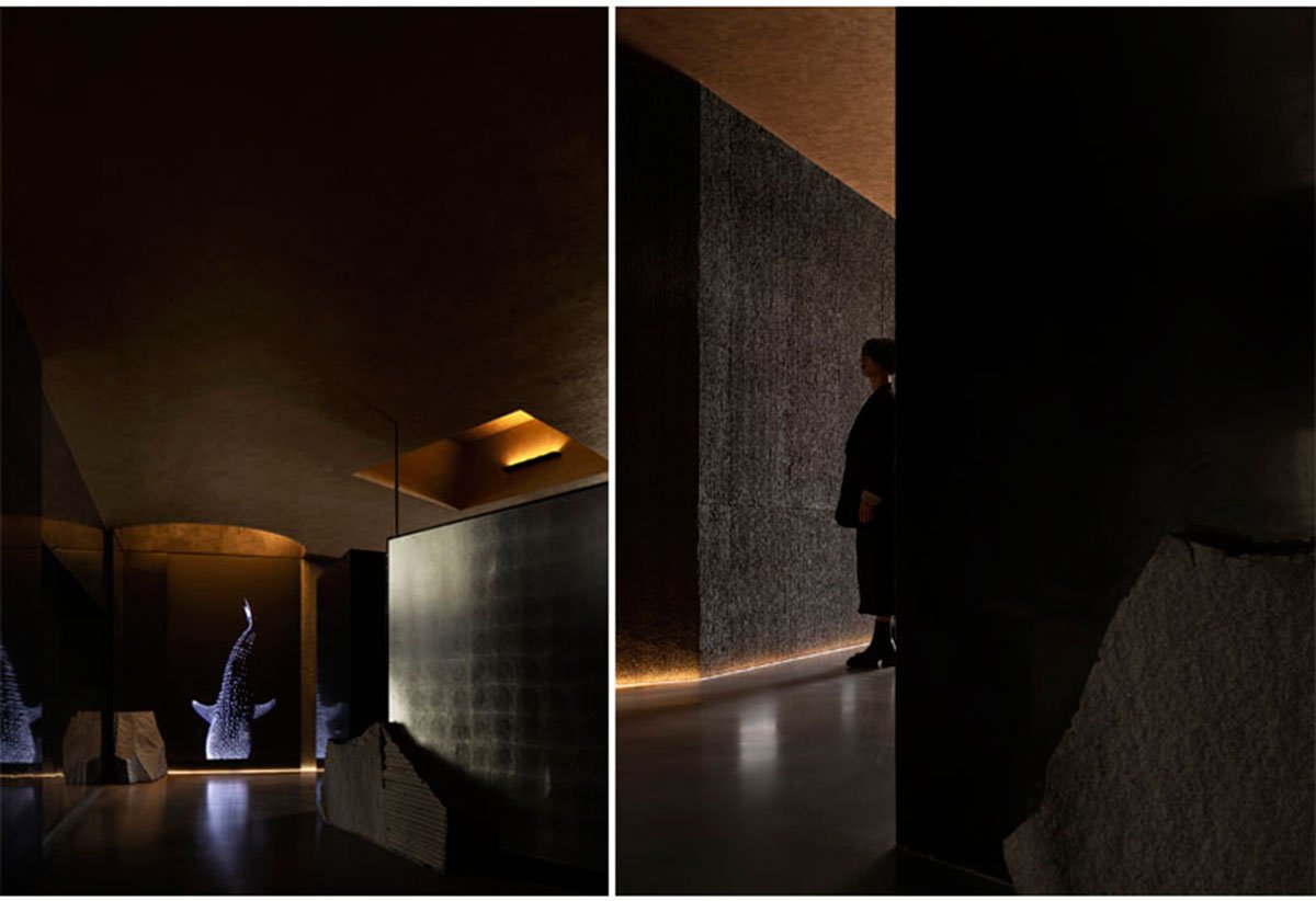 Late Night Kitchen | JG PHOENIX