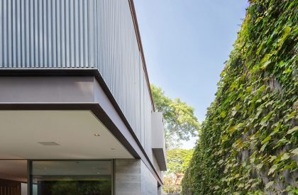 Bento house | FC Studio