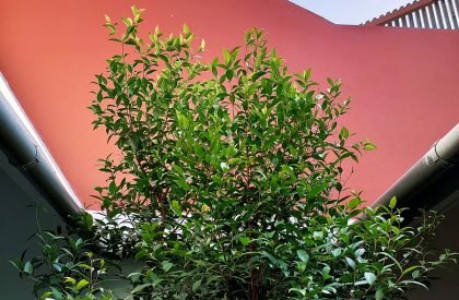 House with Different Roofs | RC Architects