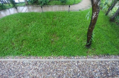 Refurbishment at Noakhali | Two Fold Studio