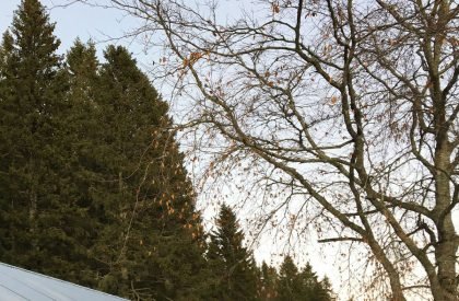 T-House | Sanden+Hodnekvam Architects