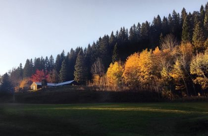 T-House | Sanden+Hodnekvam Architects