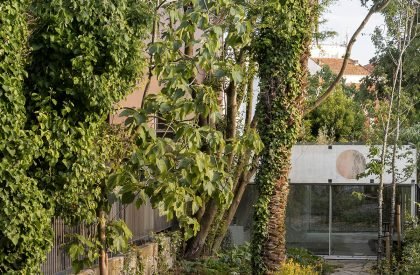 Very Tiny Palazzo | Fala