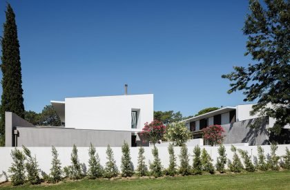 Casas do Pinhal | PK Arquitetos