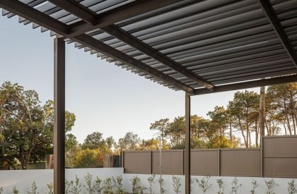 Casas do Pinhal | PK Arquitetos