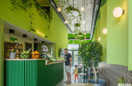 Green&Protein Podgorica | Maden Group