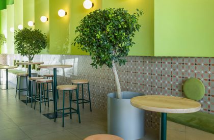 Green&Protein Podgorica | Maden Group