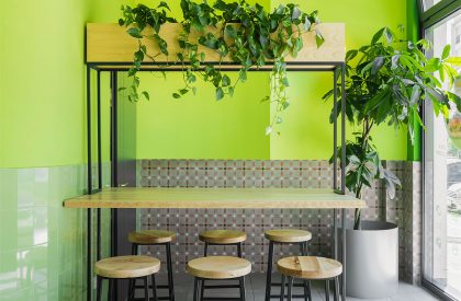 Green&Protein Podgorica | Maden Group