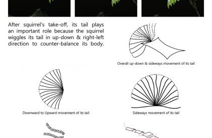 Into The FRACTALS | Abstraction - Tectonics - Form