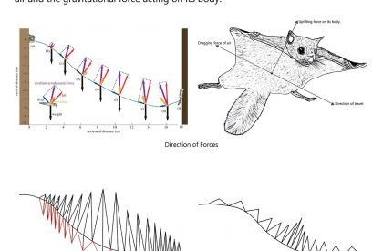 Into The FRACTALS | Abstraction - Tectonics - Form