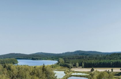 Lipno Lakeside Cabin | Les Archinautes