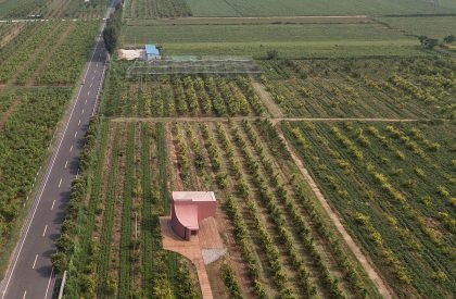 Miniature Series I – Peach Hut | Atelier XI