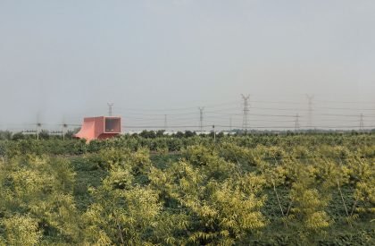 Miniature Series I – Peach Hut | Atelier XI