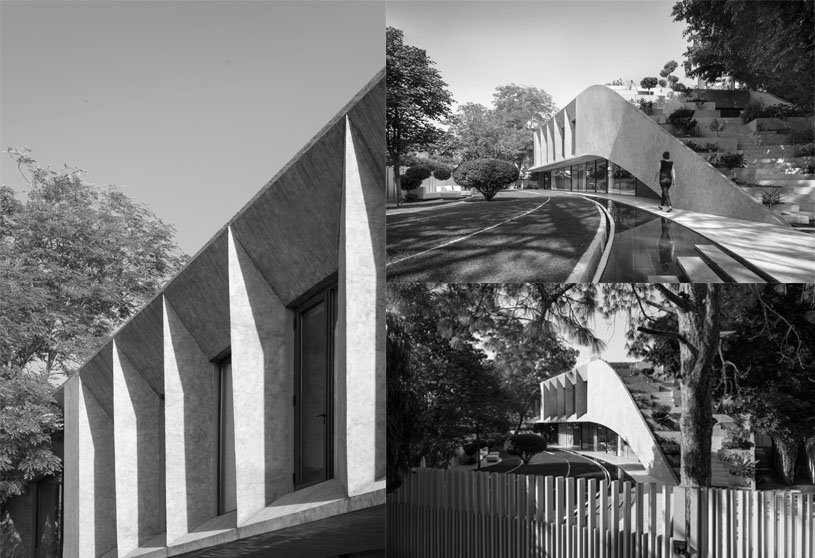 Studio Symbiosis