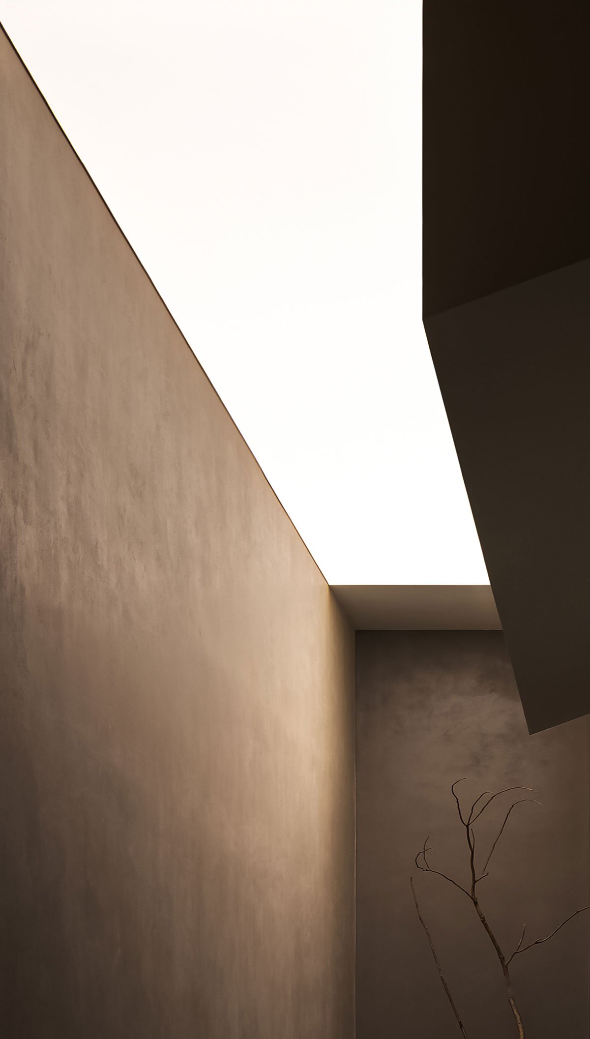 Baoman Abalone Showroom | AD Architecture