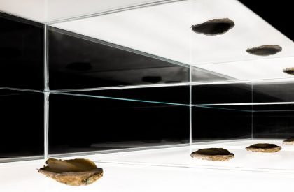 Baoman Abalone Showroom | AD Architecture