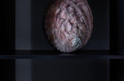 Baoman Abalone Showroom | AD Architecture