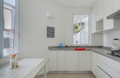 A Roof for Gaby | Cotaparedes Arquitectos