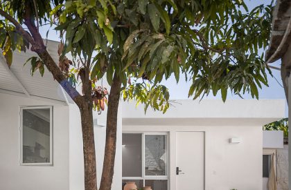 A Roof for Gaby | Cotaparedes Arquitectos