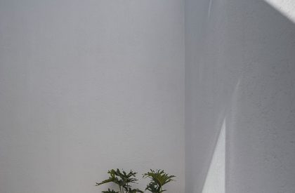 A Roof for Gaby | Cotaparedes Arquitectos