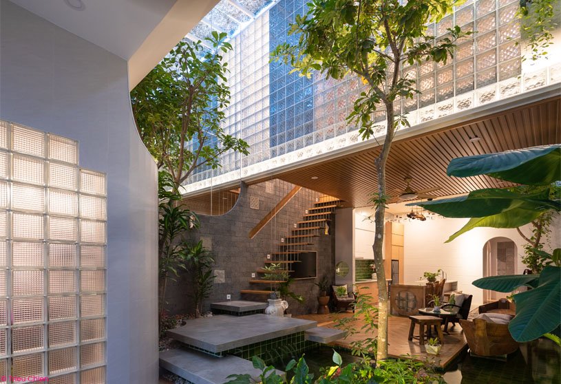 Coco House |  Duy Le Architects