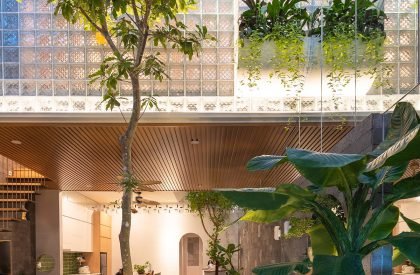 Coco House | Duy Le Architects