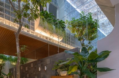 Coco House | Duy Le Architects