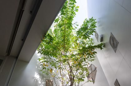 Coco House | Duy Le Architects