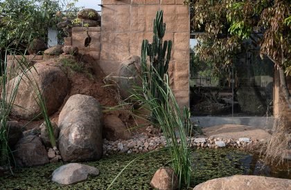 Flintstone 6 | Mitti