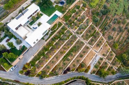 The Terraces | Accent Design Group