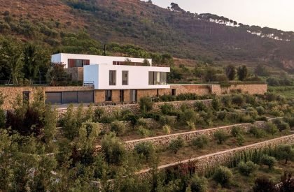 The Terraces | Accent Design Group