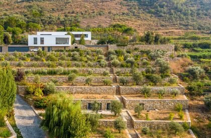 The Terraces | Accent Design Group