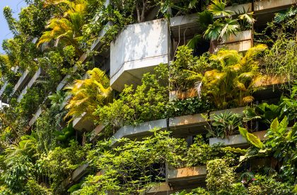 Urban Farming Office | VTN Architects