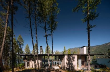 Dragon Fly | Olson Kundig