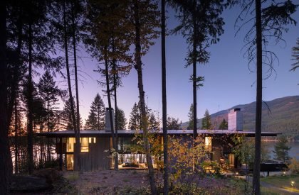 Dragon Fly | Olson Kundig