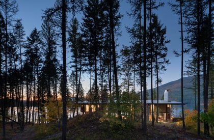 Dragon Fly | Olson Kundig