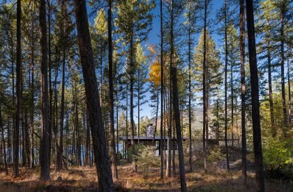 Dragon Fly | Olson Kundig