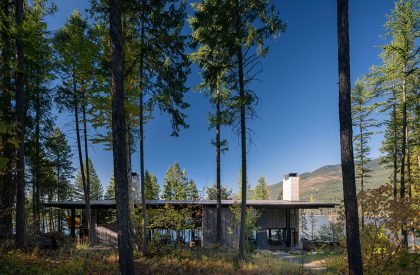 Dragon Fly | Olson Kundig