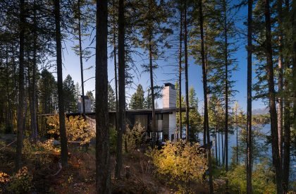 Dragon Fly | Olson Kundig