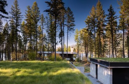 Dragon Fly | Olson Kundig