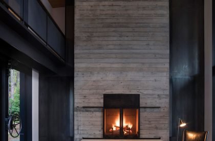 Dragon Fly | Olson Kundig